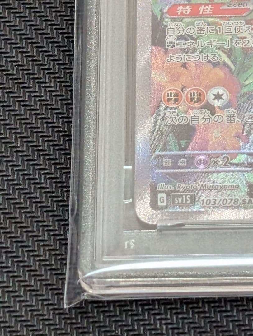 連番 ミライドン コライドンex sar psa10 最新ケース