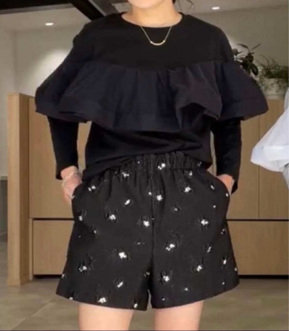 新品タグ付き⭐︎ Gypsohila Tulle Long Tee 【BLACK】