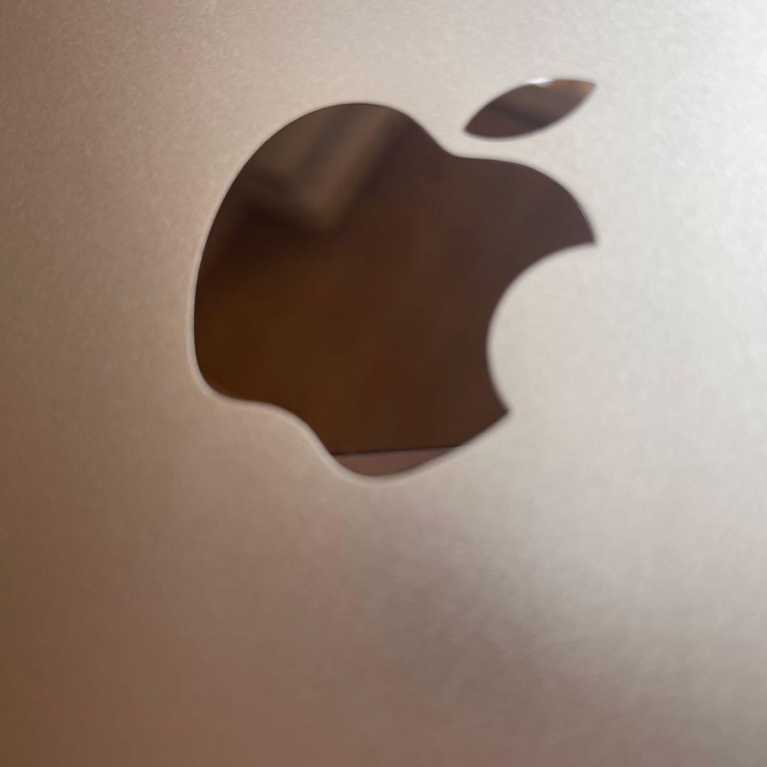 Apple iPad ピンクゴールド 第7世代　動作確認済み