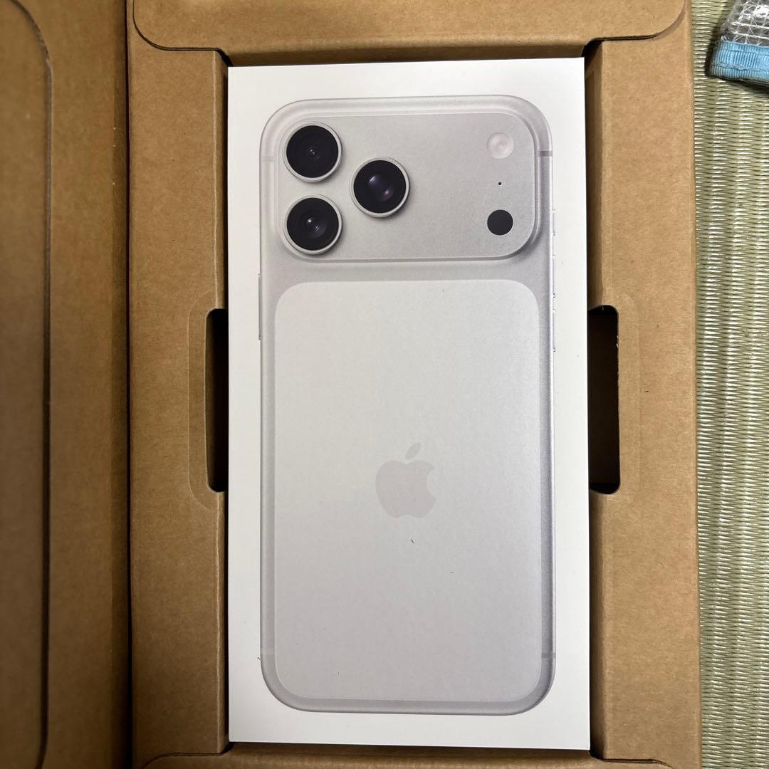 Apple iPhone 17 Pro Max シルバー 256GB