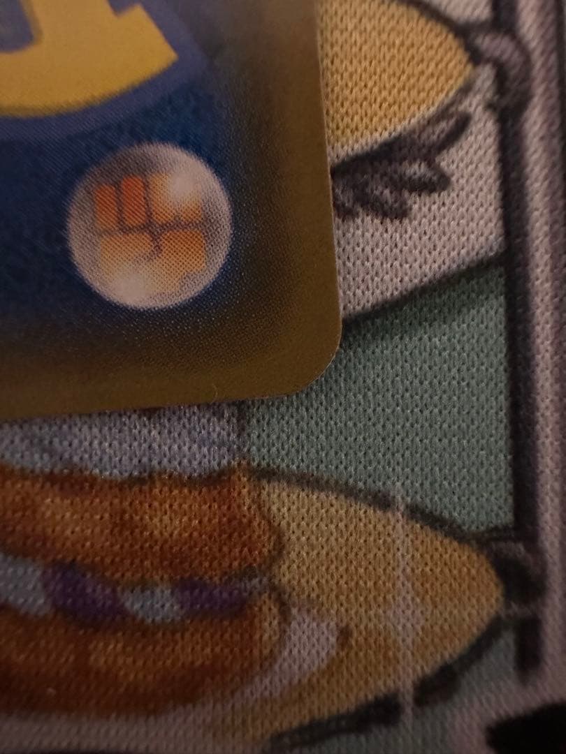 レシラム＆リザードンGX SA