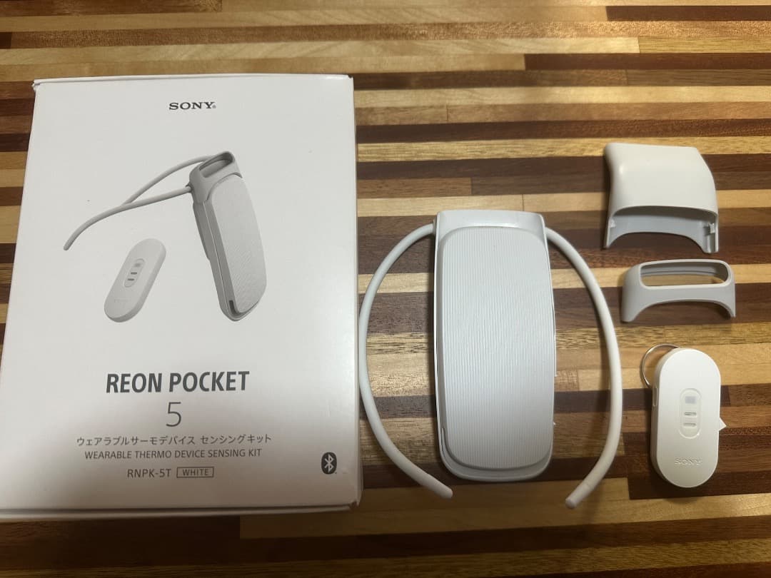 SONY REON POCKET5 箱にダメージあり