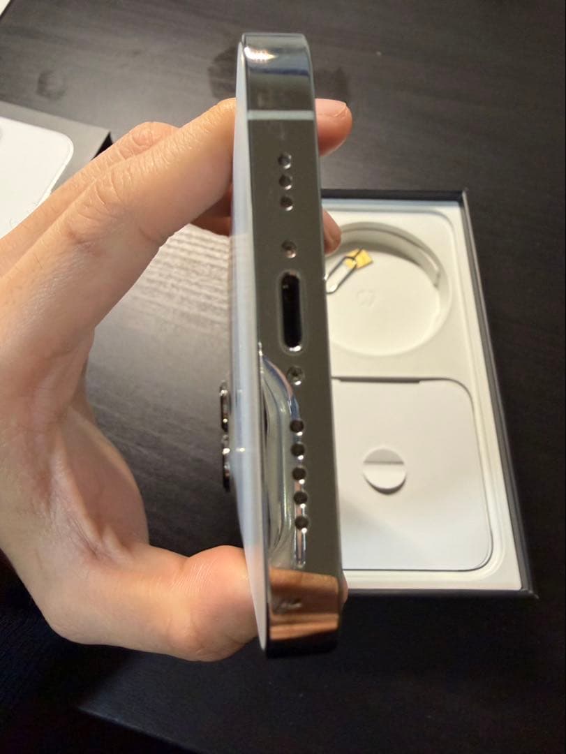 Apple iPhone 13 Pro シルバー 256 本体