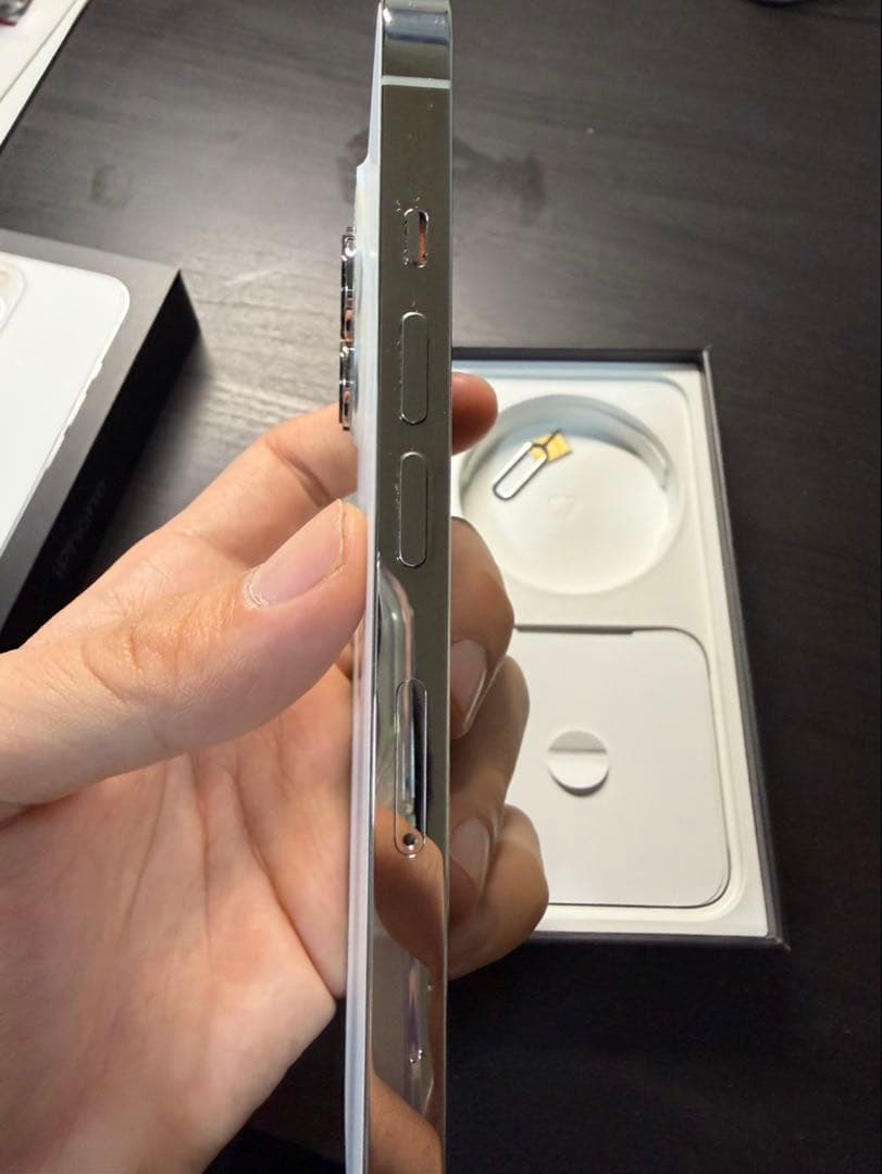 Apple iPhone 13 Pro シルバー 256 本体