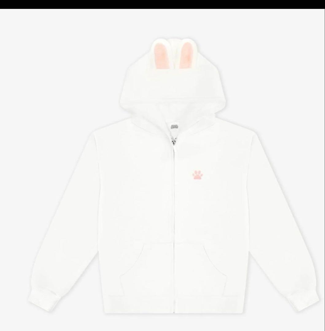 straykids skzoo リノ　leeknow Leebit パーカー