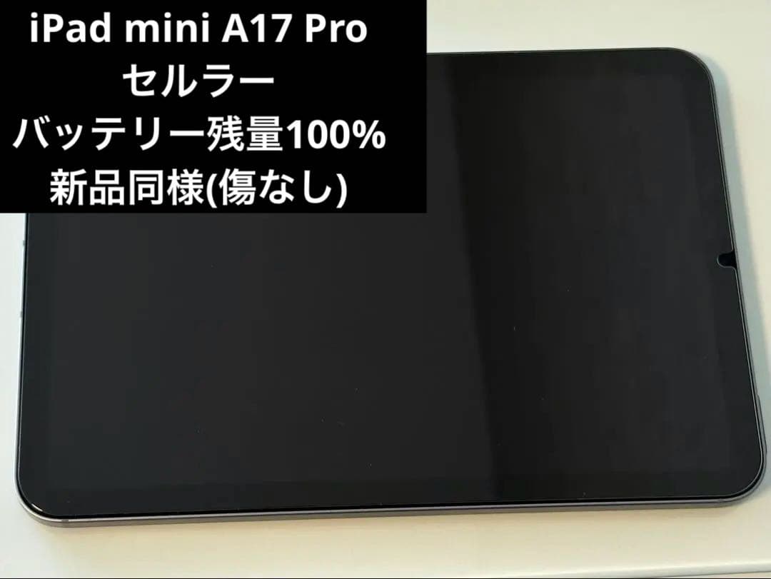 iPad mini A17 Pro 第7世代 Cellular 128GB