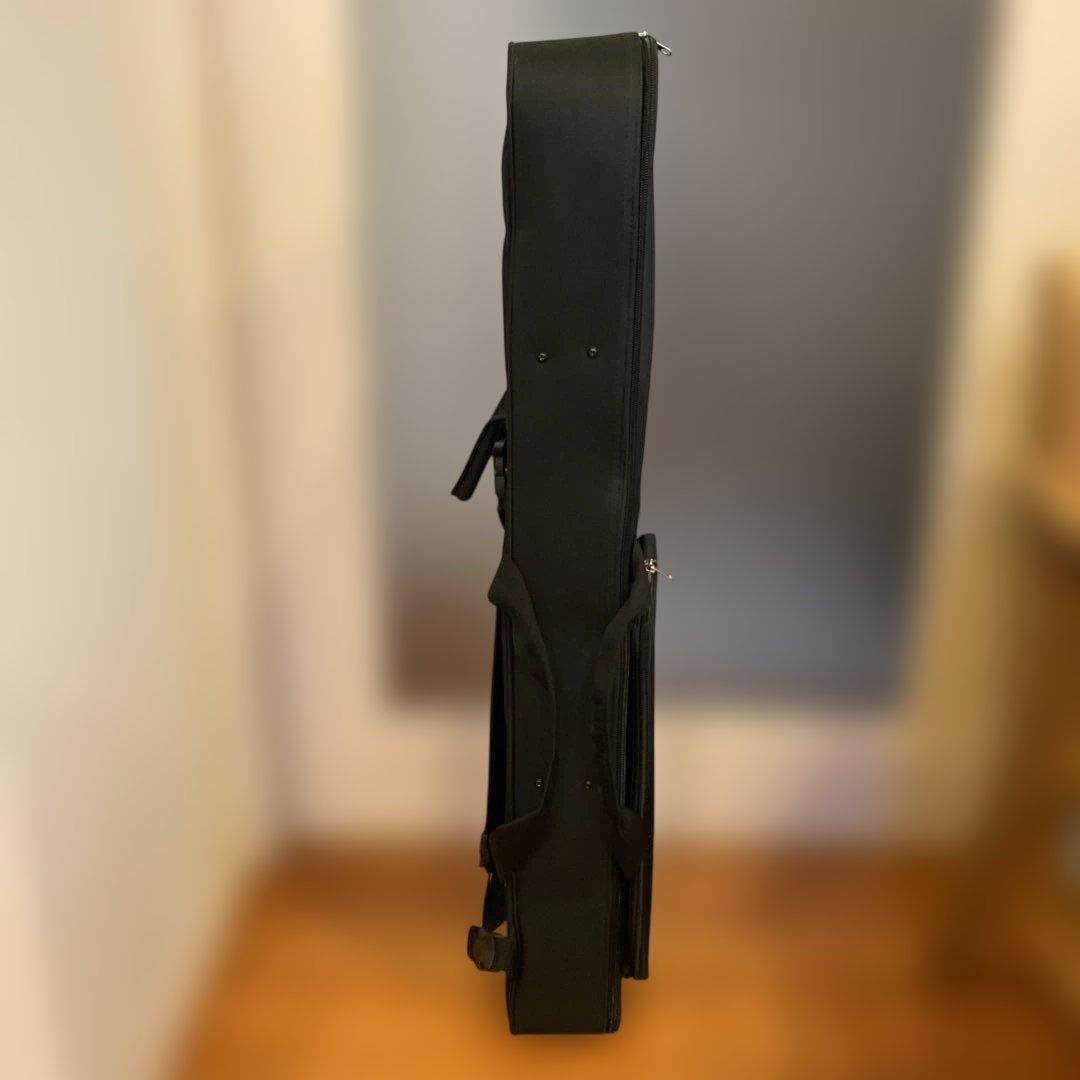 【ほぼ新品・美品】平田三線 蛇皮 ケース付き沖縄三味線・三味線デビュー初心者