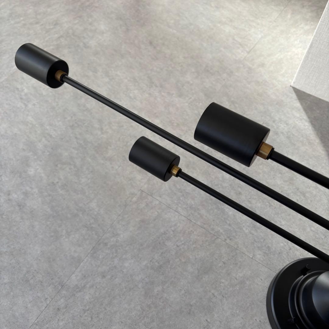 【最終値下げ】インターフォルム アストル シーリングライト 電球2コセット