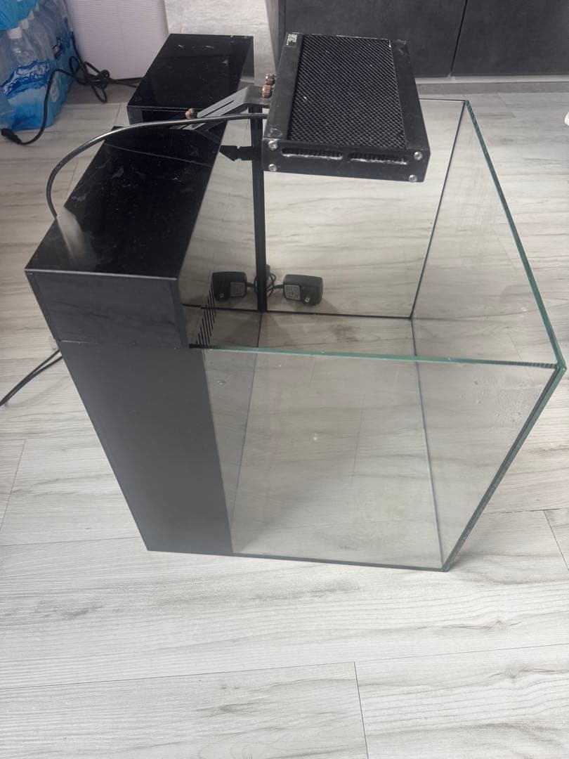 やっちゃん　Shell 水槽