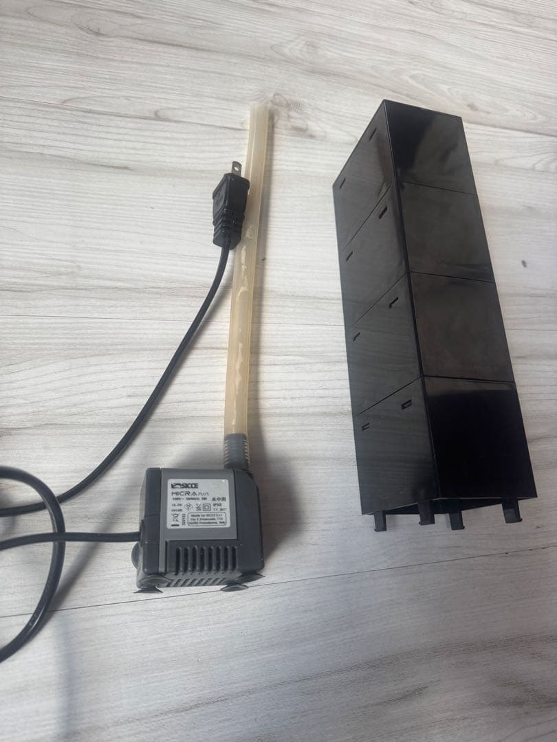 やっちゃん　Shell 水槽