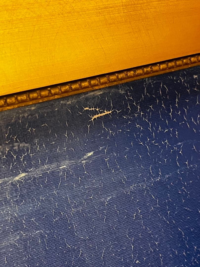 C*d様 ピーターエレンショー アリエルズマーメイドラグーンNo.159 Dis