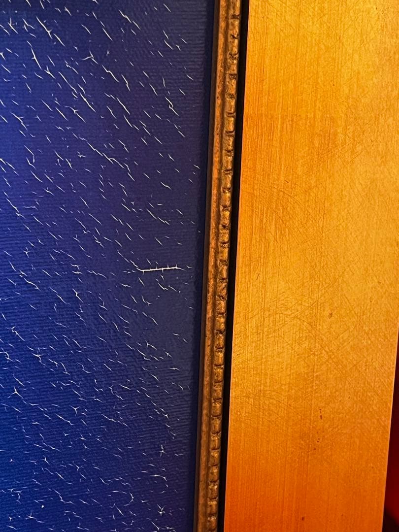 C*d様 ピーターエレンショー アリエルズマーメイドラグーンNo.159 Dis