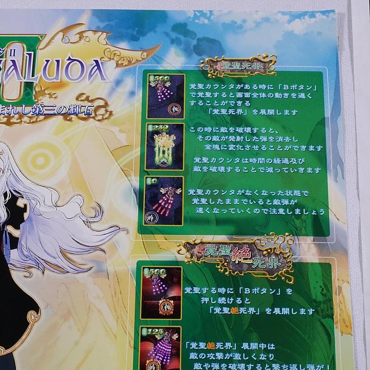 純正インスト+取扱説明書+帯1本　エスプガルーダ2　CAVE