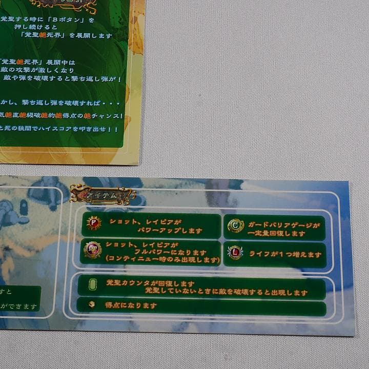 純正インスト+取扱説明書+帯1本　エスプガルーダ2　CAVE