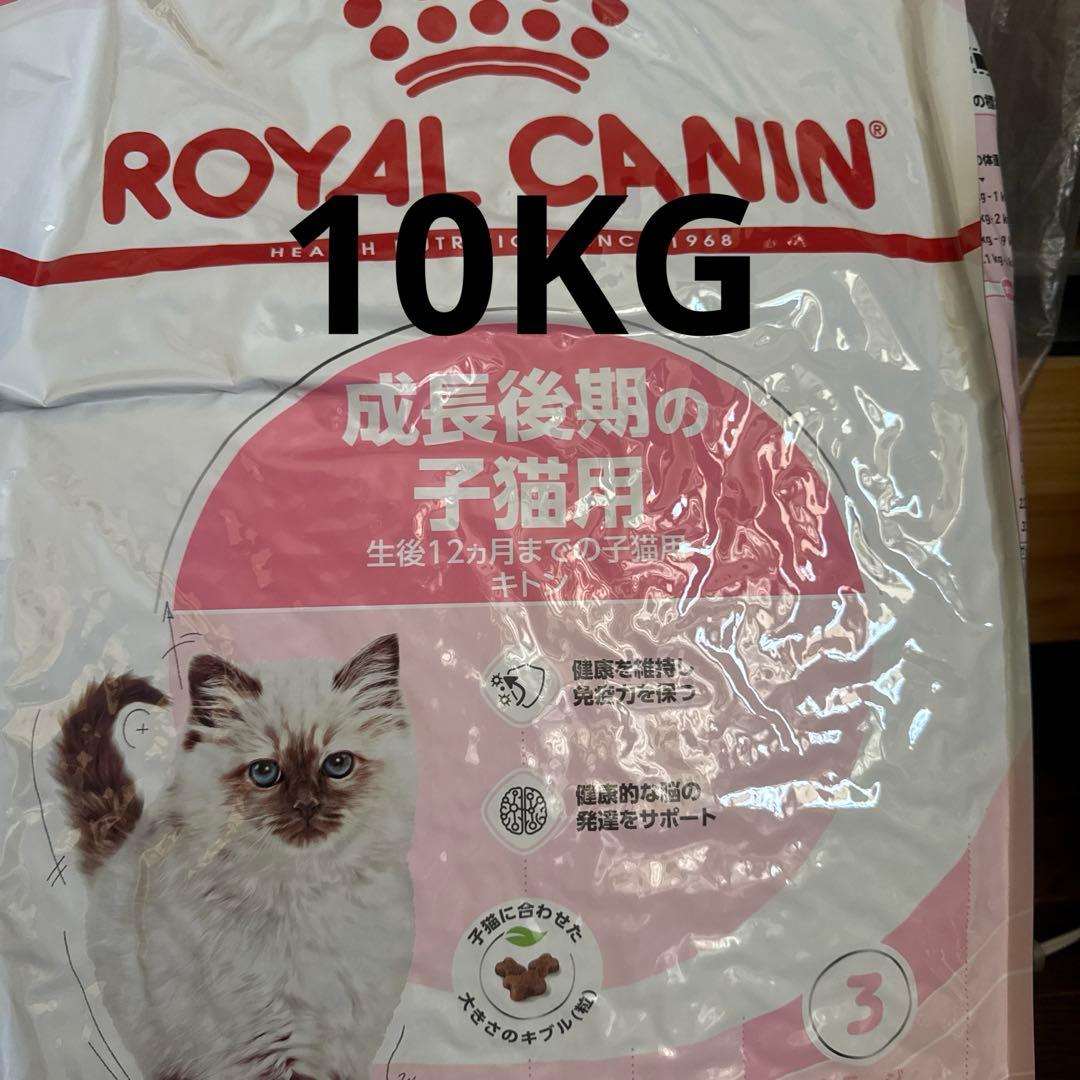 24時間以内発送 ロイヤルカナン成長後期 カリカリ キトン　10kg