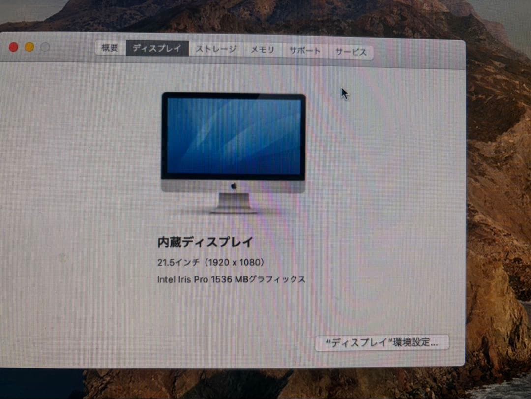 Macデスクトップ Apple iMac 21.5 Late 2013 1TB