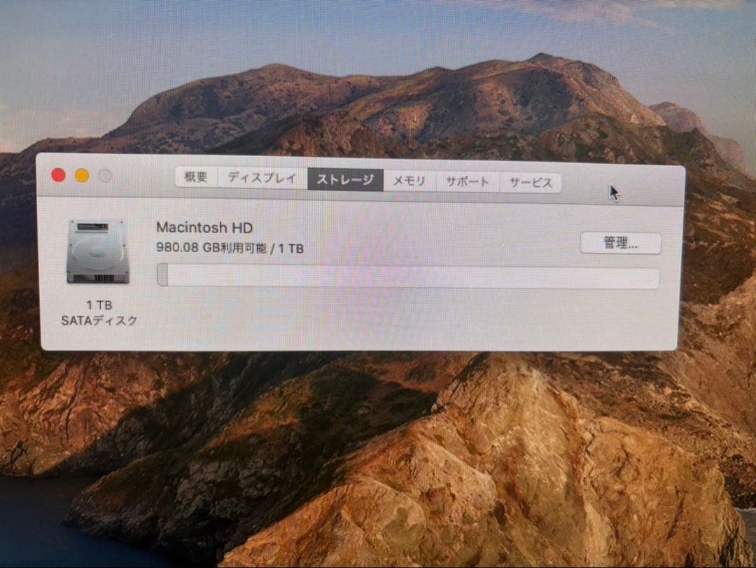 Macデスクトップ Apple iMac 21.5 Late 2013 1TB