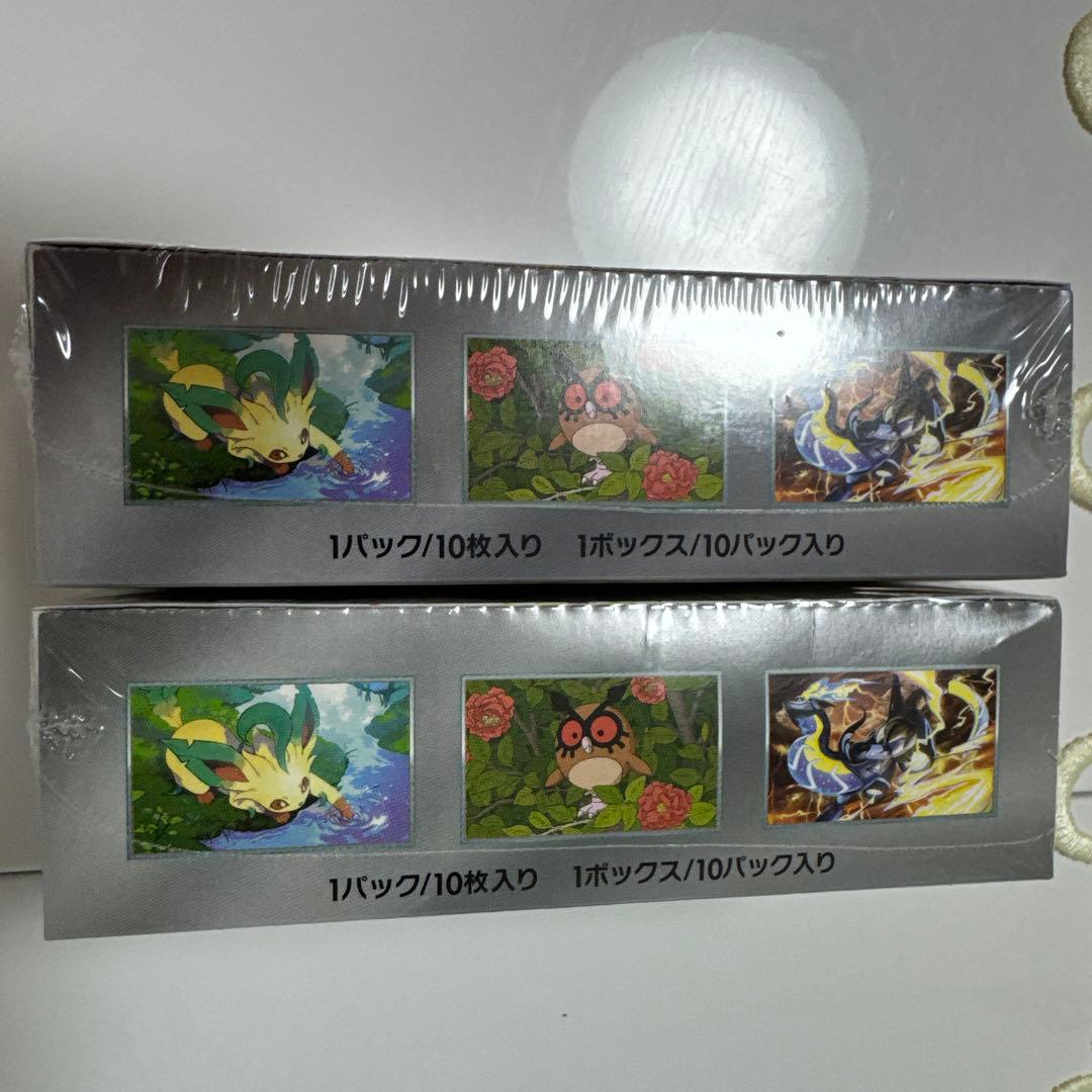 ✅テラスフェス シュリンク付き✅2ボックス✅ 値下げ不可✅