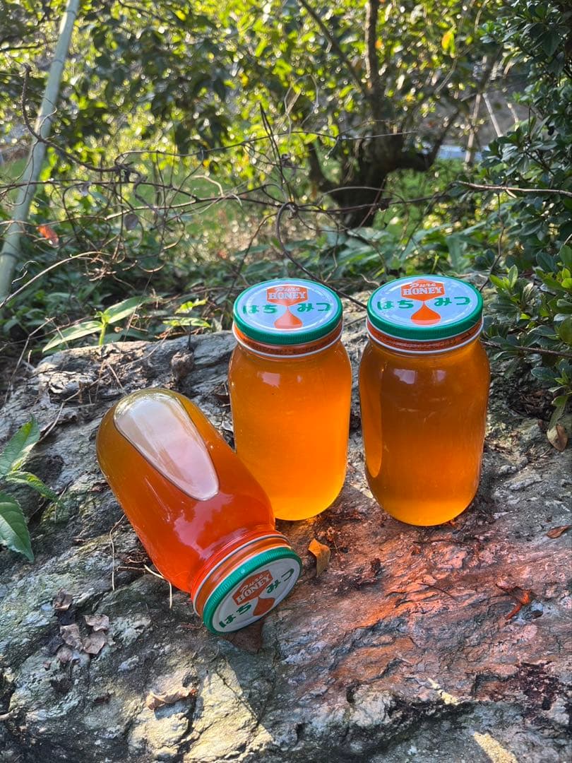 ラスト2kg/日本蜜蜂ハチミツ/百花蜜/1kg×2本/【最終値下げ】