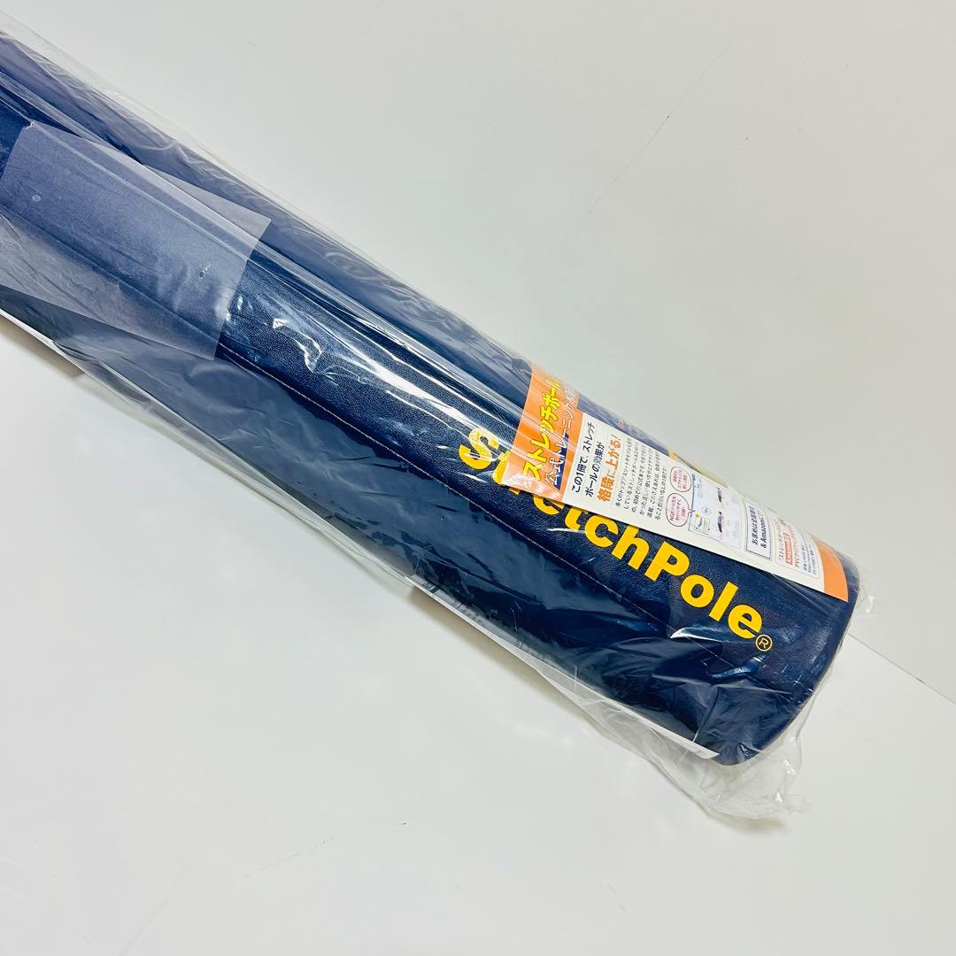 【新品未開封】LPN社 ストレッチポールEX 付属品多数 正規品