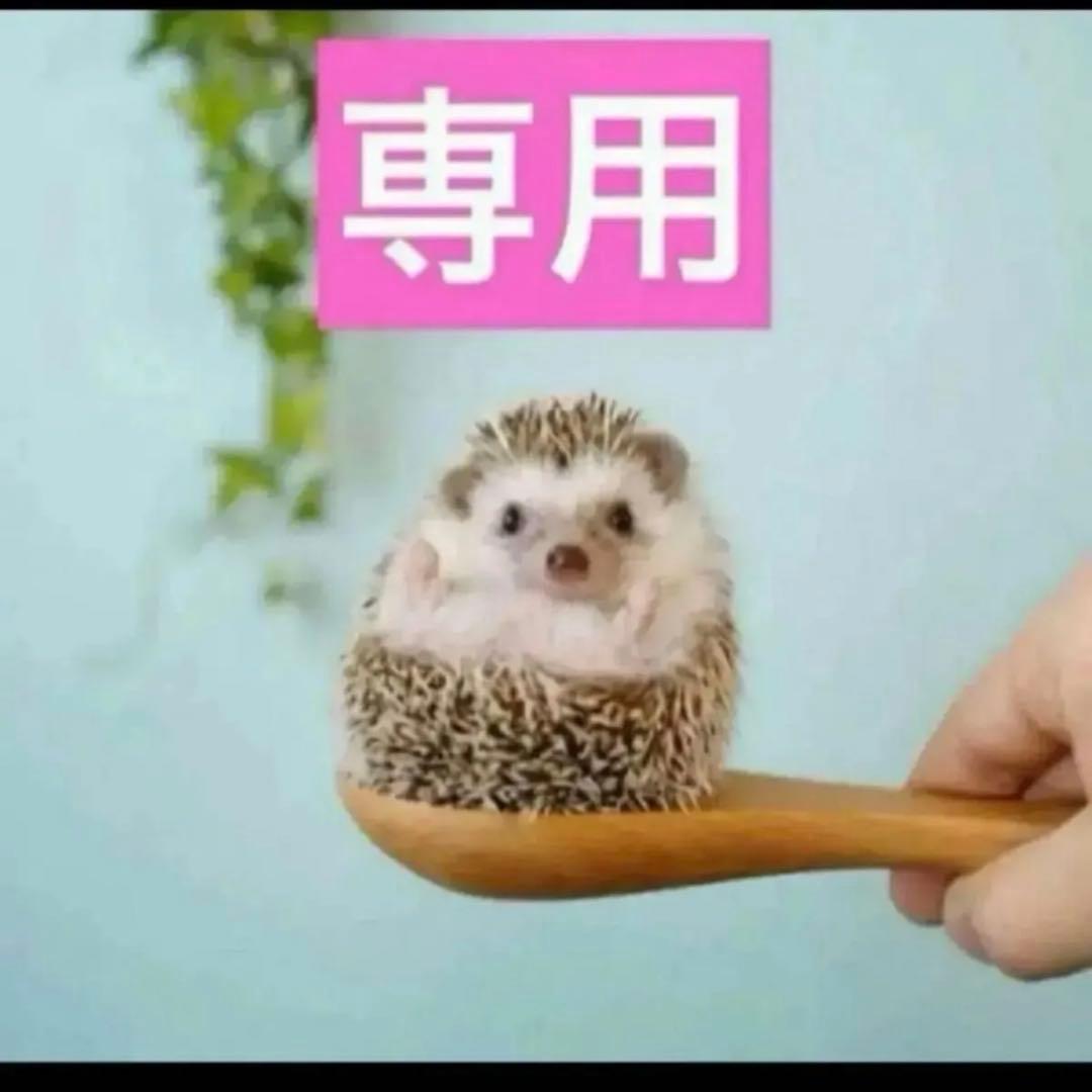 4点、ワンセラム2点、MDミルク、プレステージハンドクリーム