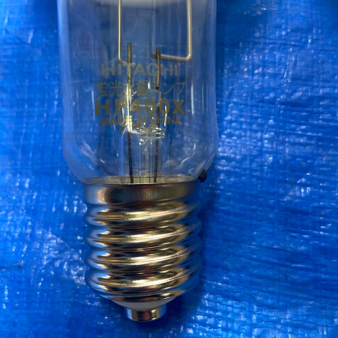 きんぐぬーしんです