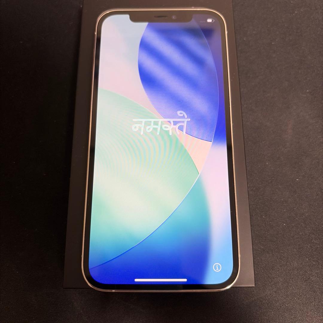 Apple iPhone 12 Pro 256GBシルバー simロックなし