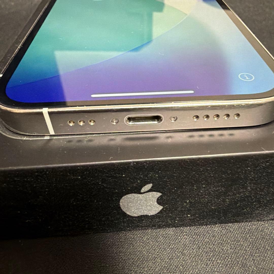 Apple iPhone 12 Pro 256GBシルバー simロックなし