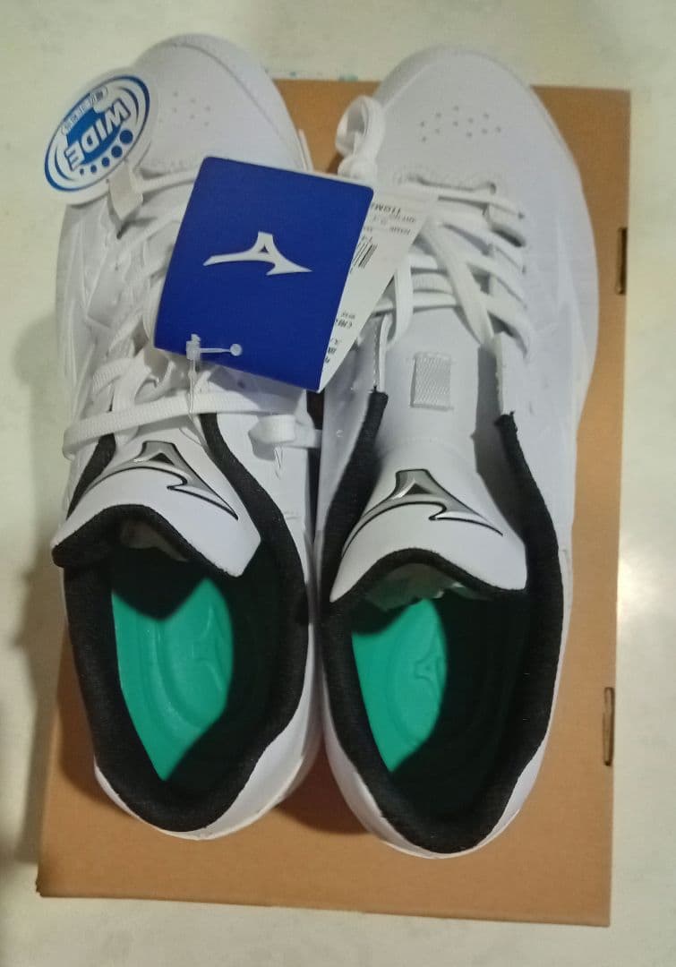 専用　Mizuno ライトレボボディ-2野球スパイク