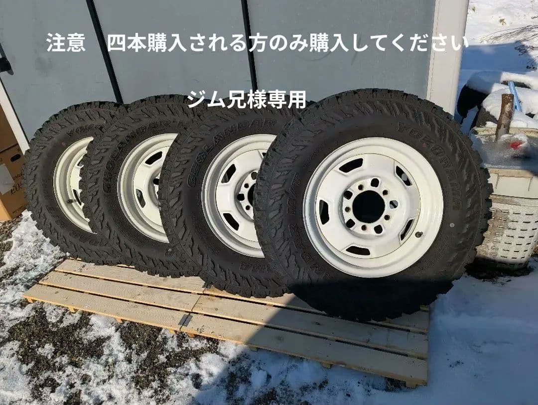 ジム兄19xx　GEOLANDAR M/T G003　6.50