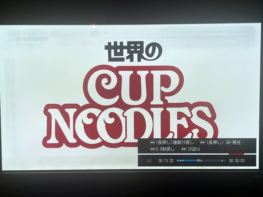 ぎんちゃん専用REGZA 55X9400 有機ELテレビ 4TB 純正HDD付き