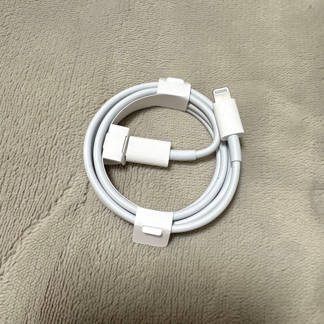 Apple iPad ローズゴールド 本体 第1世代