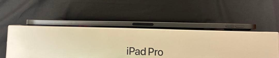 iPad Pro 12.9インチ第5世代 本体 Applepencil第2世代