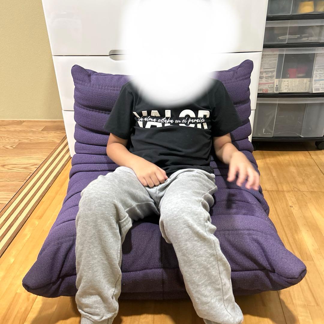 ligne roset リーンロゼ ミニトーゴ 1P ソファ