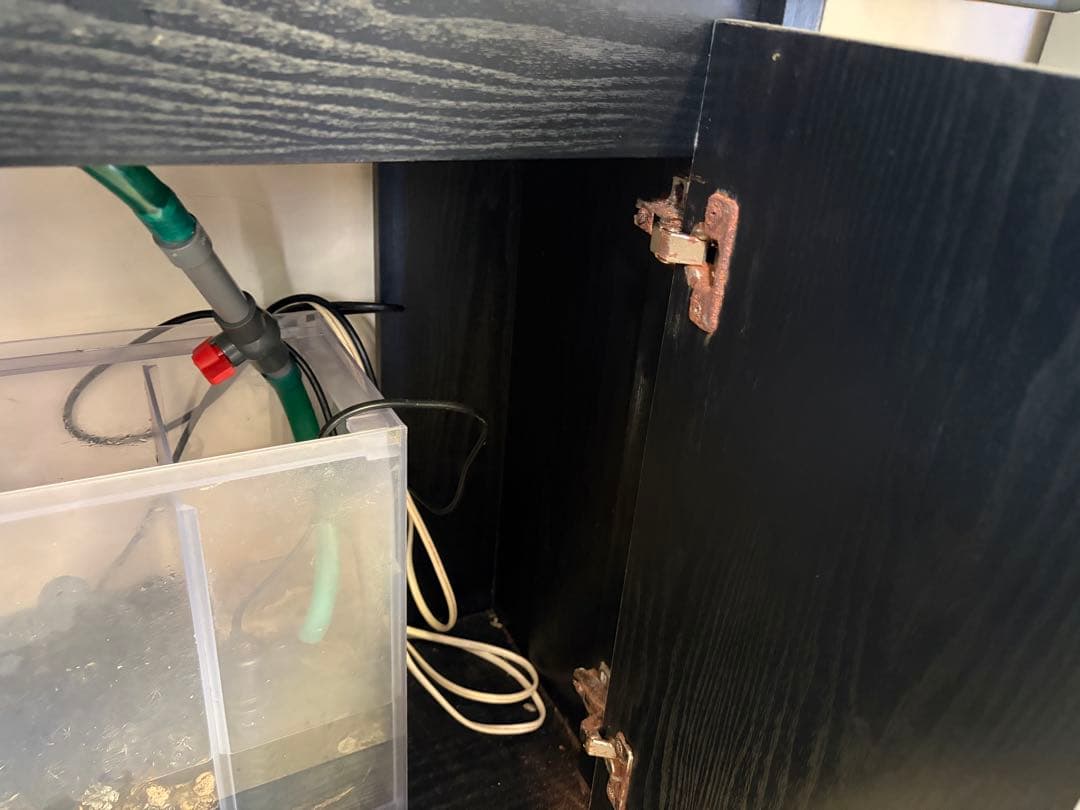 対面受け渡し限定‼️ オーバーフロー水槽　熱帯魚　濾過槽　ポンプ・流木・ろ材付き