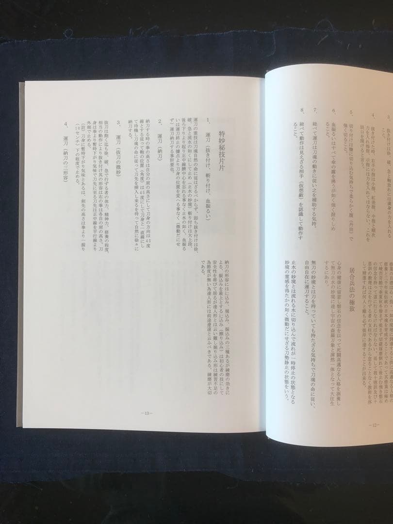 抜刀術神伝流(無双神傳抜刀術兵法)