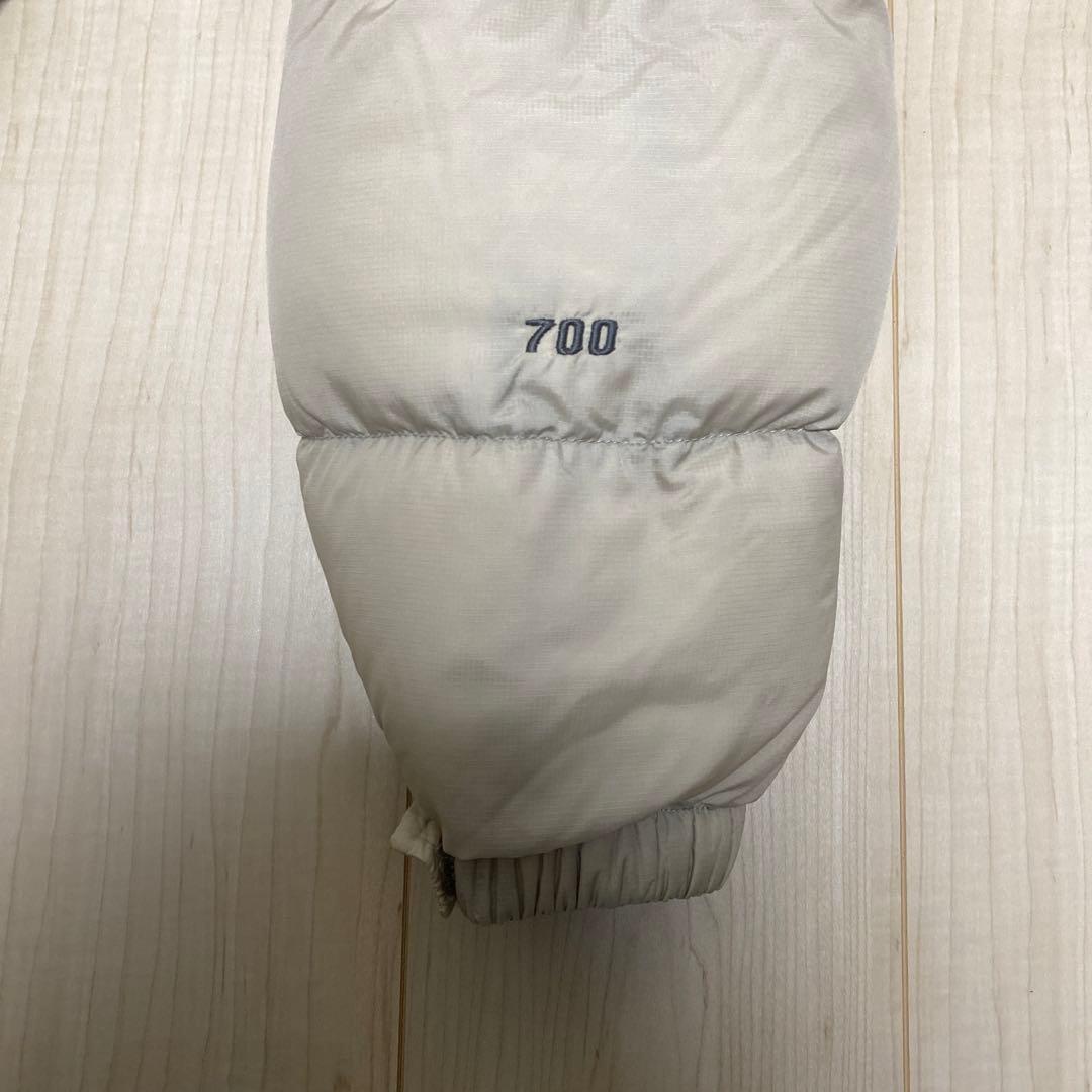 【希少カラー、Lサイズ】ノースフェイス ヌプシダウン センターロゴND00360