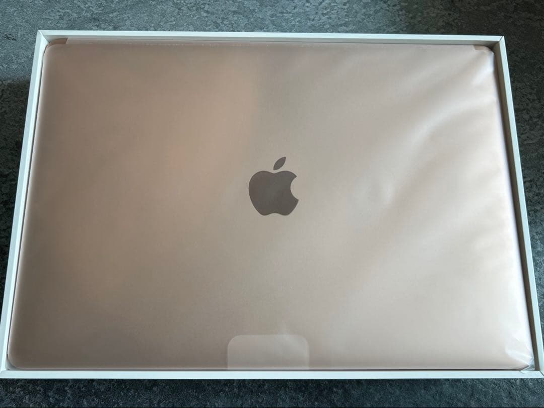 MacBook本体 MacBook Air (M1, 2020) 256GB