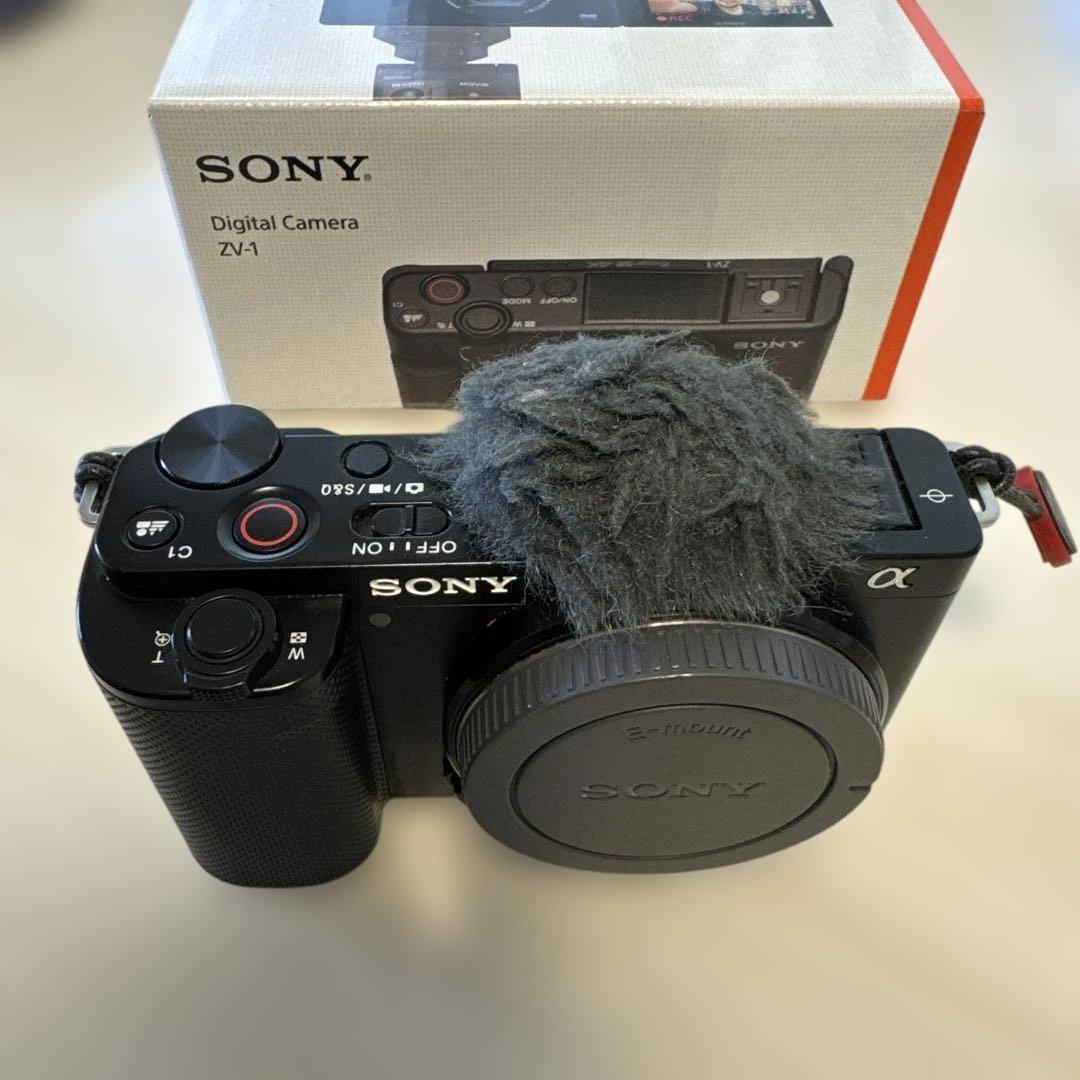 SONY VLOGCAM ZV-E10 本体とストラップ