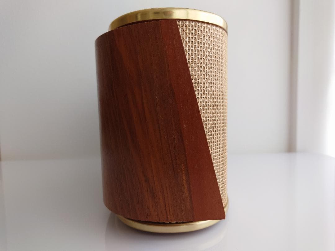 Telefunken RS 1 モノラルアンプ　セット