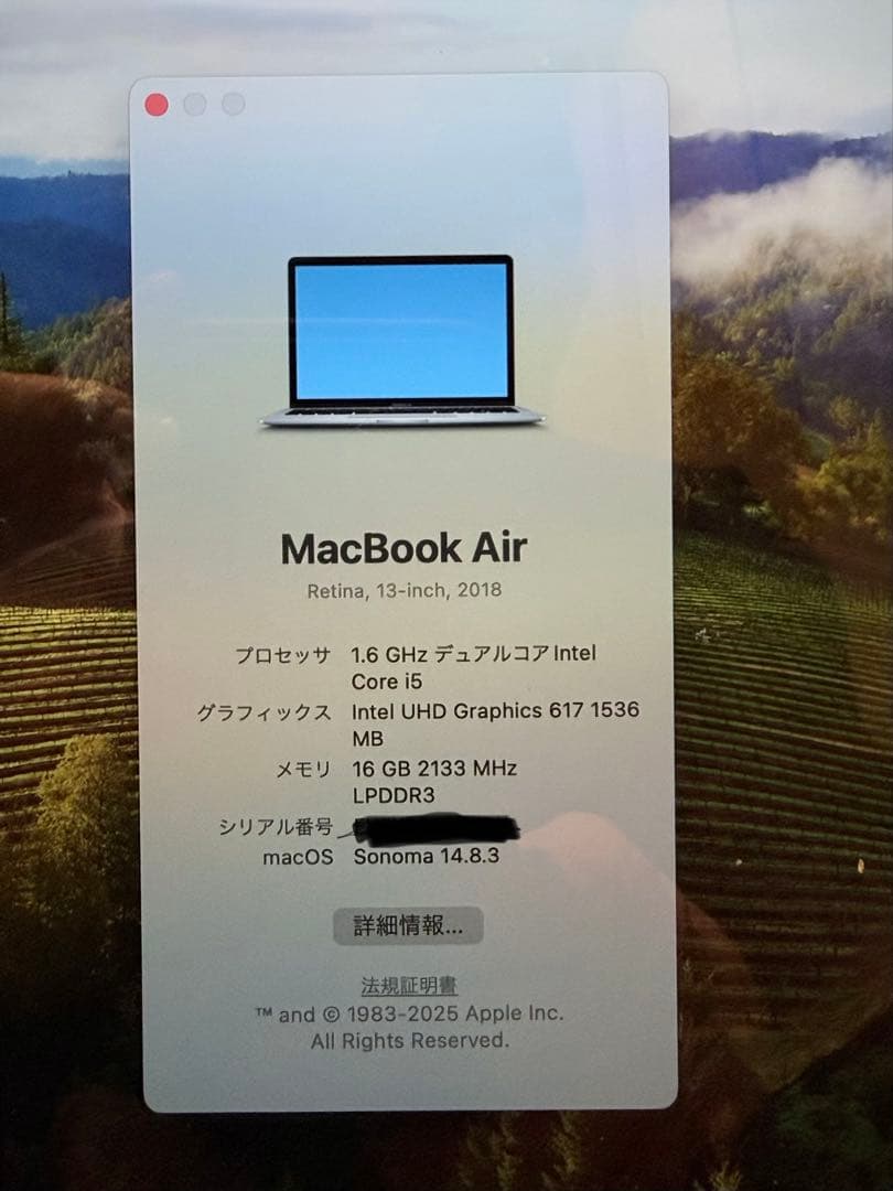 MacBook本体 MacBook Air 2018 16GB 500GB