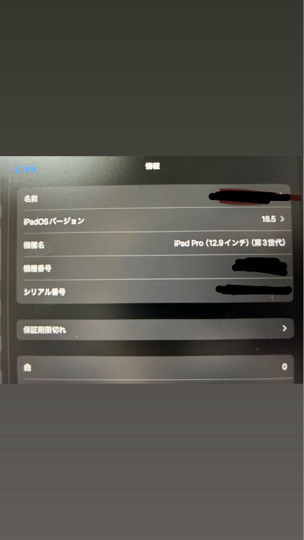 iPad Pro 12.9インチ 第三世代 256GB バッテリー良好