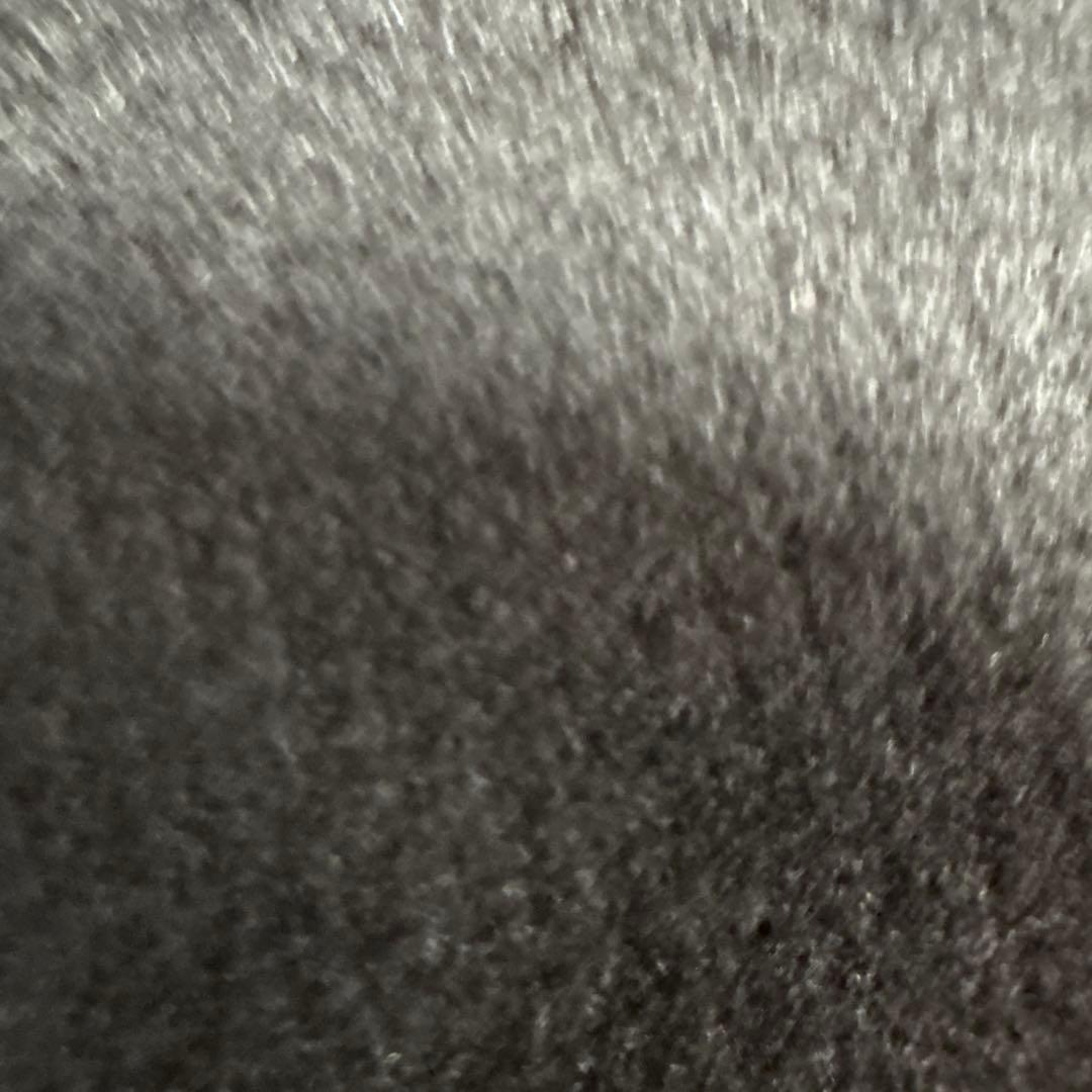 アンナケリー　裏微起毛　カットソー　新品未使用　ブラック