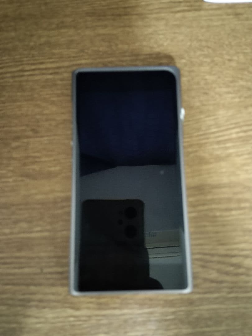 訳アリ SHANLING M6 PRO レザーケース ジャンク扱い DAP