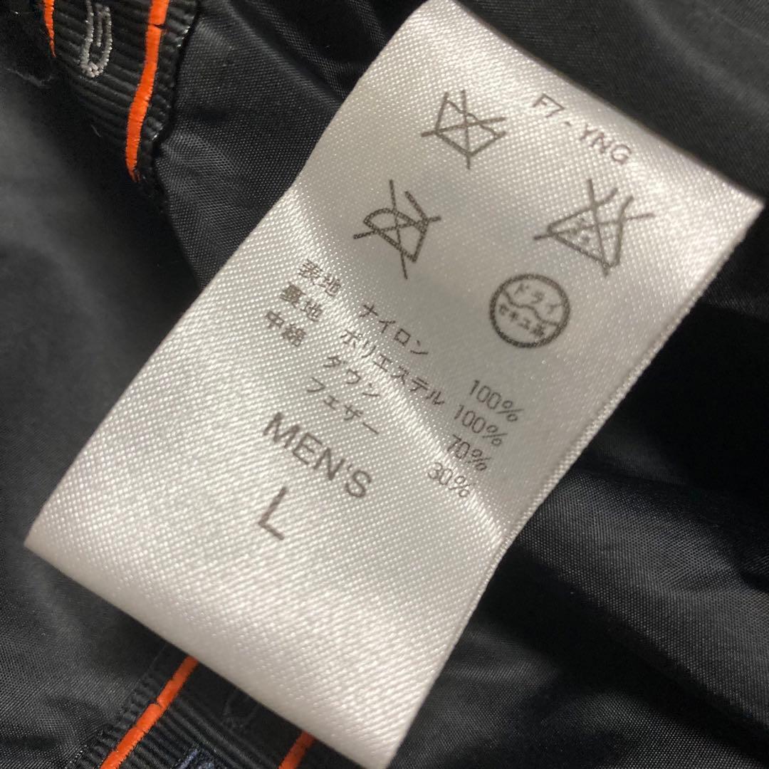 【希少　未使用タグ付き】NIKE ACG ダウンベスト 刺繍ロゴ　黒　L