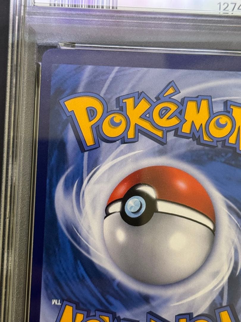 チリ　SAR　中国語