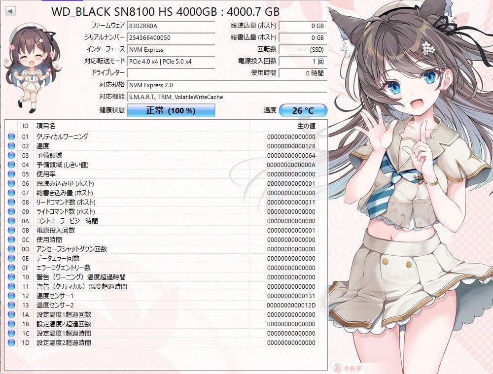 WD_BLACK SN8100 M.2 SSD 4TB ヒートシンク付