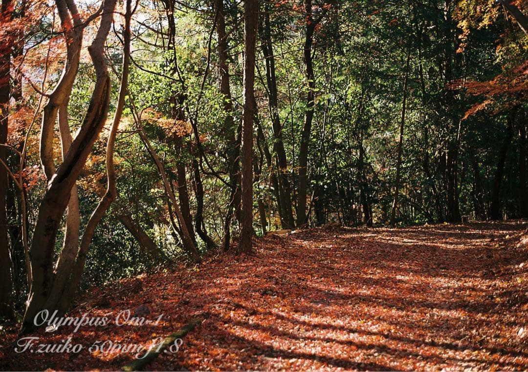 ★入門に★OLYMPUS OM-1/レンズセット★完動品＊美品＊初期保証