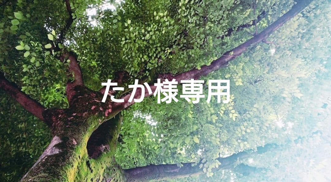 たか✨特典付電磁波防止✨本物CMCペンダントUSA版　6本お値引き