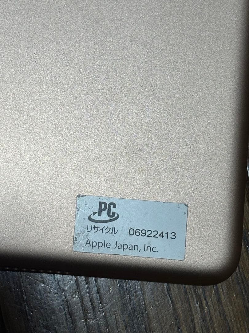 iPad 10.2インチ 第7世代 Wi-Fi+セルラー 128GB